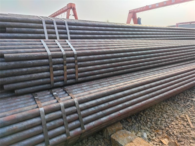 IMG_20230401_155300.jpg
